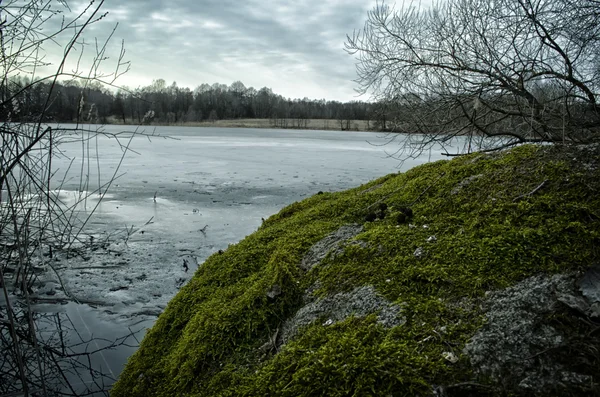 Rocha coberta de musgo e lago — Fotografia de Stock
