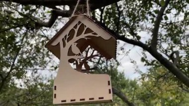 Tahta arka planlı kuş besleyici yuva, Ukrayna, Ukrayna doğası