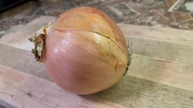 soğan yakın çekim