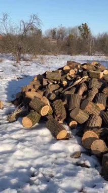 Odunlar dışarıda karların üzerinde yatıyor, odun, soğuk, sıcak, soğuk, kış