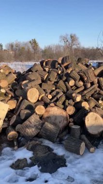 Dışarıda karların üzerinde yakacak odun, odun, soğuk, ısıtıcı.