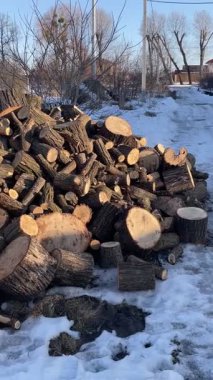 Dışarıda karların üzerinde yakacak odun, odun, soğuk, ısıtıcı.