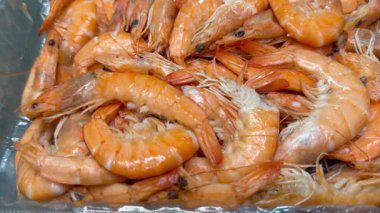 Yiyecek için taze karidesleri kapatın.