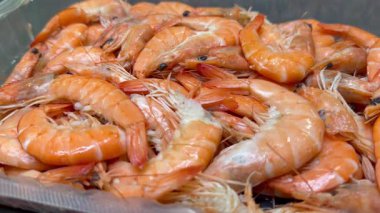 Pazarda karides ve karides.