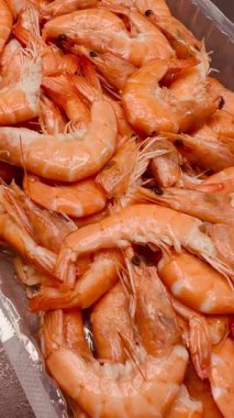 buzun içinde karides