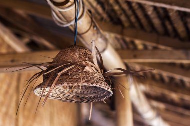 Dekoratif saman lamba  