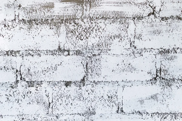 White brick texture background
