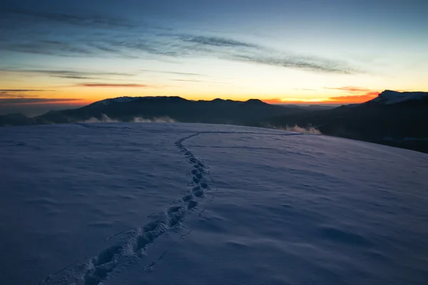 Pistes dans la neige dans les montagnes — Photo