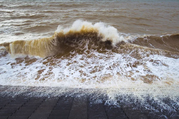 Grandes vagues sur la mer — Photo