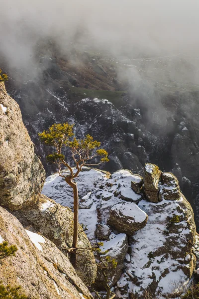 Pico de la montaña Demerdji — Foto de Stock