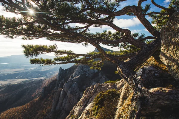 美丽的落日落山 — 图库照片