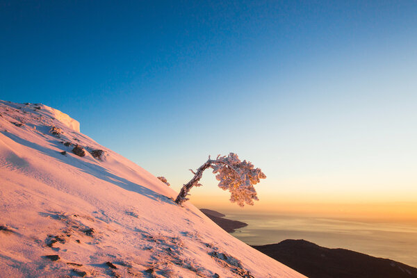 Majestic sunrise in the winter