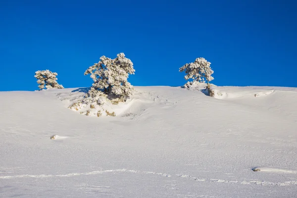 Hiver montagnes paysage . — Photo