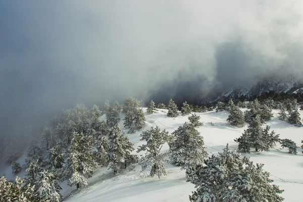 Vue paysage d'hiver — Photo