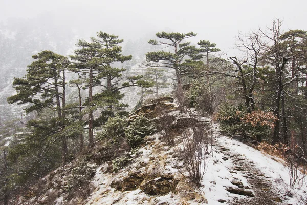 Сильный снег в горах Стоковое Изображение