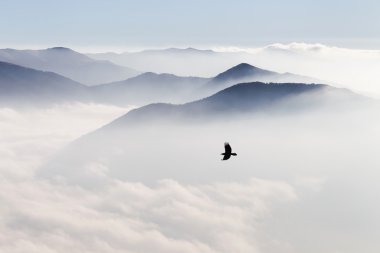 Sisin içinde dağların Silhouettes