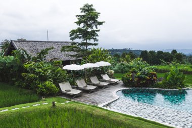 Havuzu şezlong şezlong ve şemsiyeler