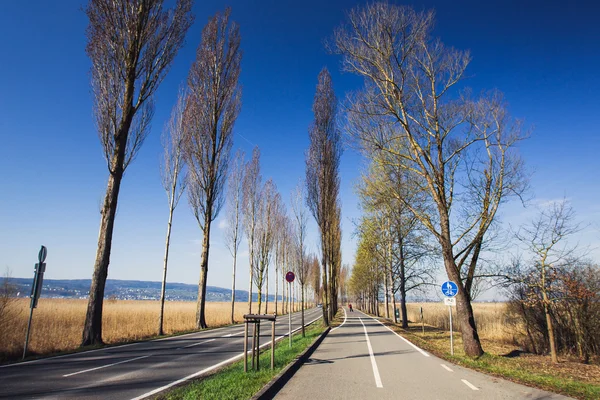 Bike path along the road — Stock Photo, Image