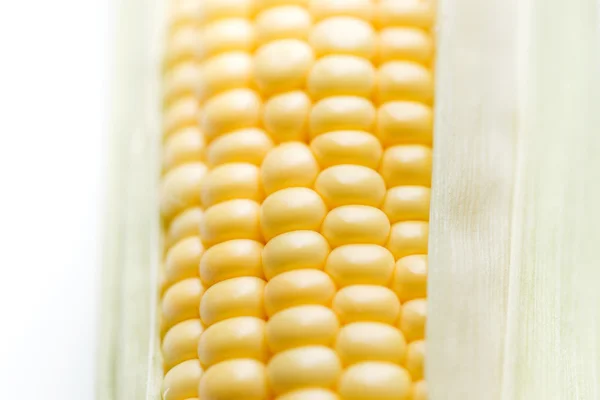 Голова жовта кукурудза — стокове фото