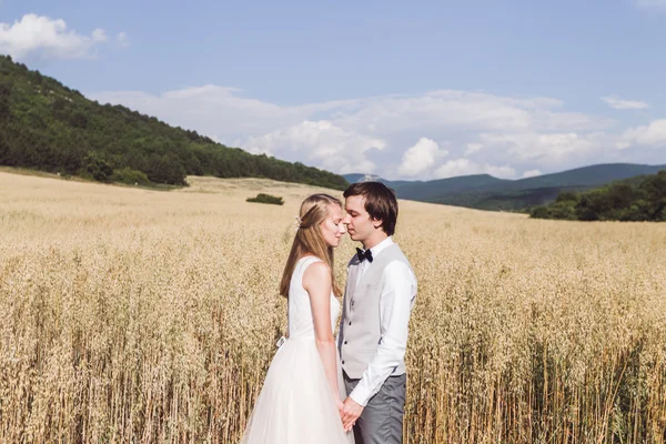 Hermosos recién casados en la naturaleza —  Fotos de Stock