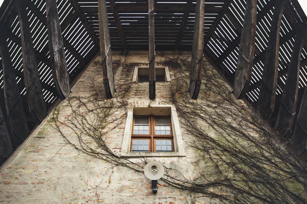 Old wooden windmill in Potsdam — Stock Photo, Image