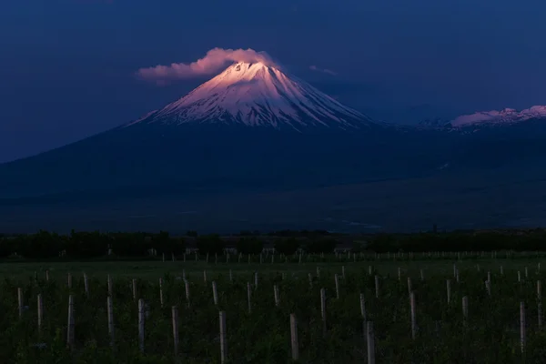 Mount Ararat at sunrise — Stock Photo, Image