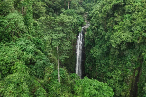 Aerial Drone View Large Hidden Waterfall Jungle Rainforest Wild Untouched — Stock Photo, Image