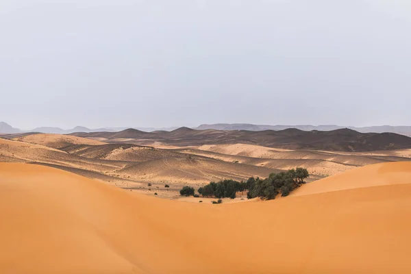 Lanskap Gurun Sahara Dengan Bukit Pasir Dan Oasis Perjalanan Maroko Stok Lukisan  