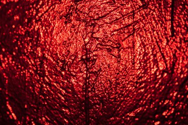 Stüdyoda kırmızı desenli duvar 