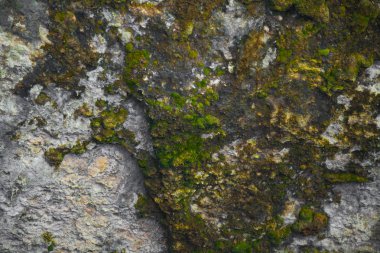 doğa mağara taş kayalar