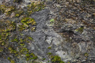 doğa mağara taş kayalar