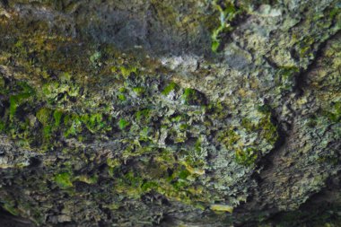 doğa mağara taş kayalar