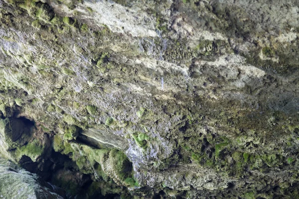 Doğa mağara taş kayalar — Stok fotoğraf