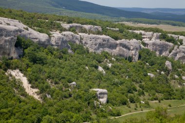 doğa orman Dağları