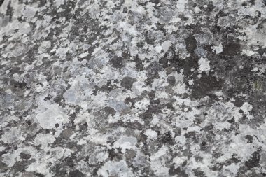 taş doku doğal duvar