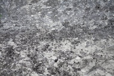 taş doku doğal duvar