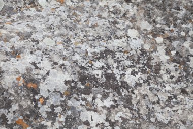 taş doku doğal duvar