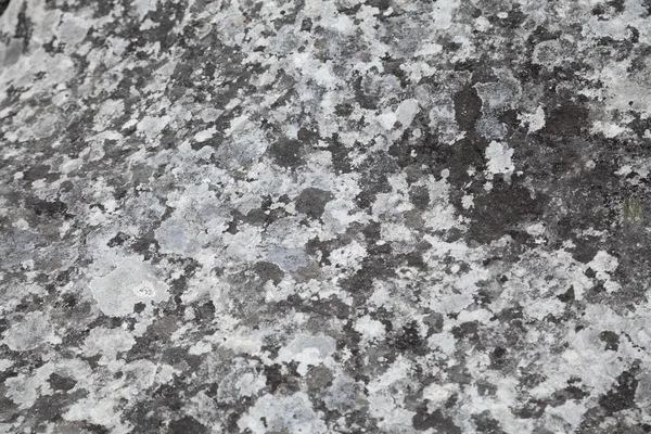 taş doku doğal duvar