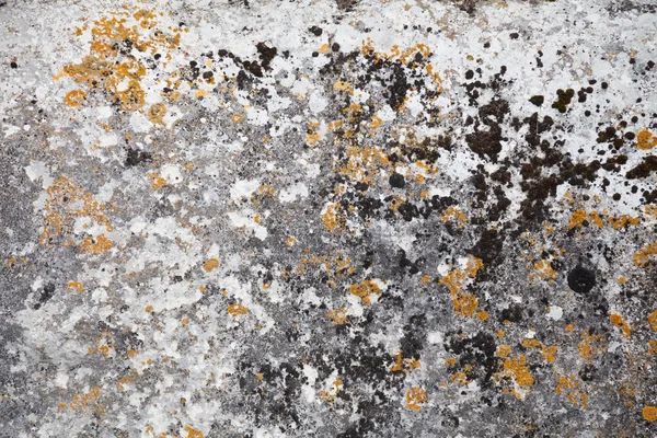 Textura de pedra parede natural — Fotografia de Stock