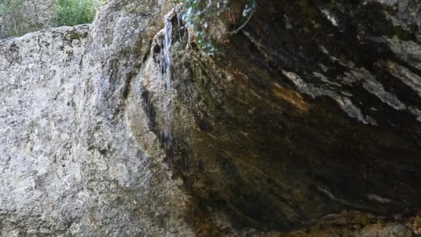 Νερό ρέει κάτω από το βράχο — Αρχείο Βίντεο