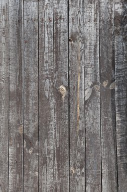 ahşap arka plan ağaç yapısını