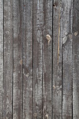 ahşap arka plan ağaç yapısını