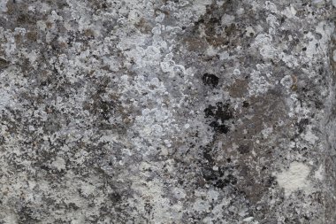 taş arka plan yapısını