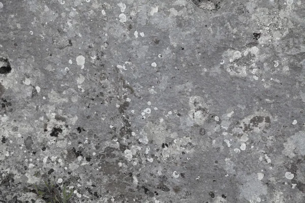Struttura dello sfondo in pietra — Foto Stock