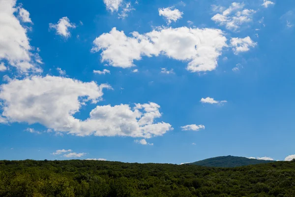 Mount forest green blue sky and clouds — Stock Photo, Image