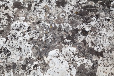 doğada doğal taş doku