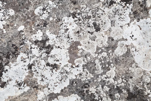 Naturalny kamień tekstury w naturze jego abstrakcyjny — Zdjęcie stockowe