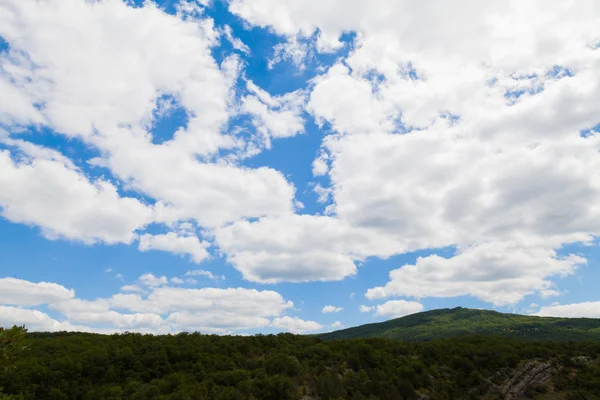 Green forest of blue sky and white clouds — Stock Photo, Image