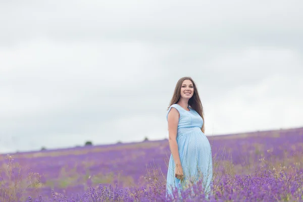 Лавандовое поле и счастливая беременная женщина — стоковое фото