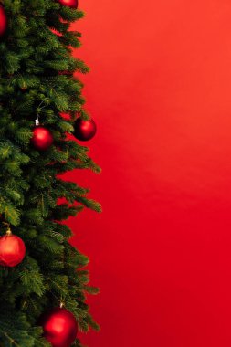 Noel ağacı dalları yeni yıl dekorasyon arka planında yazılar için